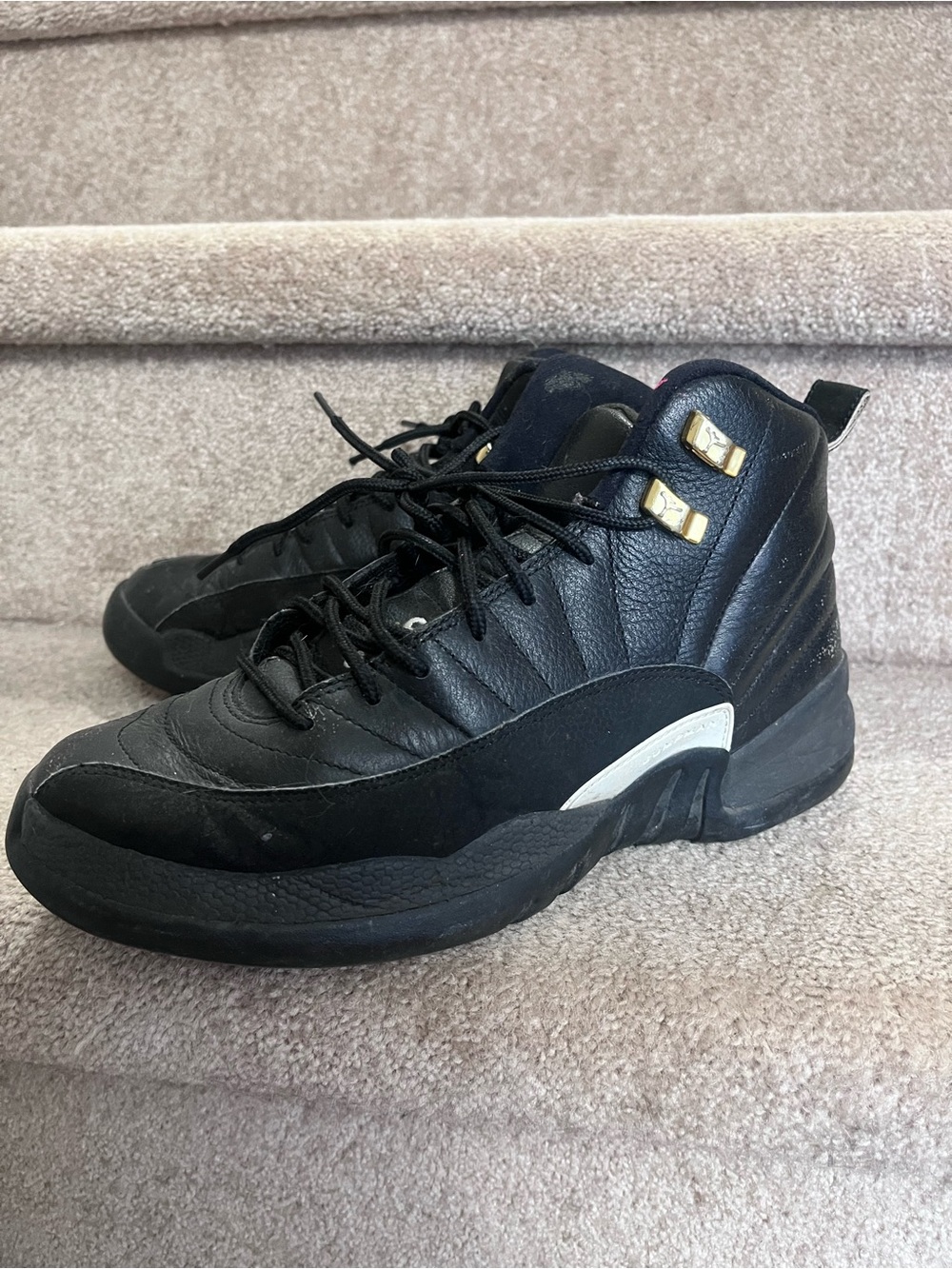 Well loved Jordan 12 “The Masters”